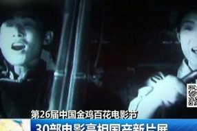 国产片子,光影交织下的时代印记